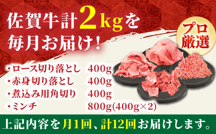 【全12回定期便】4人家族向け 佐賀牛 普段使いセットB【田中畜産牛肉店】 [HBH117] 牛肉