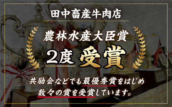 ＜2ヵ月に1回お届け＞【全6回定期便】佐賀牛 贅沢コース【田中畜産牛肉店】 [HBH136] 牛肉