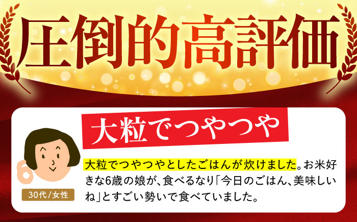 【12月発送】さがびより 夢しずく 白米 計10kg ( 5kg×2種 ) 特A米 特A評価 [HBL002]