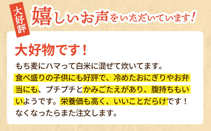 【プチプチのもち麦】キラリモチ 4kg（1kg×4袋）【大塚米穀店】 [HBL018] 麦 雑穀 雑穀米