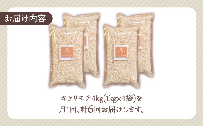 【全6回定期便】もち麦 キラリモチ 4kg（1kg×4袋）【大塚米穀店】 [HBL040] 麦 雑穀 雑穀米