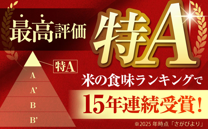 さがびより 白米 3kg（3kg×1袋）【五つ星お米マイスター厳選】特A米 特A評価 [HBL087]