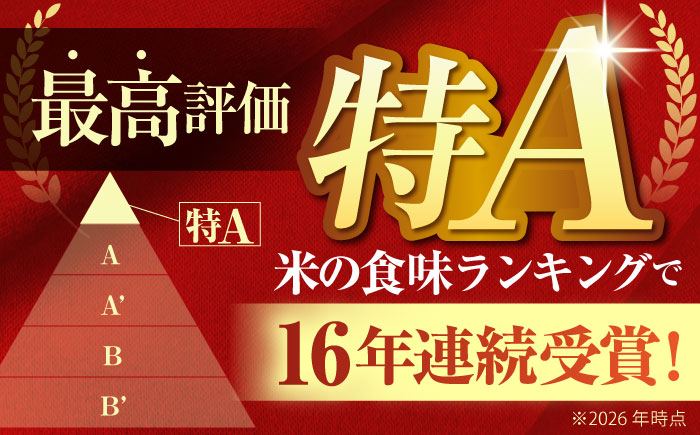 【全6回定期便】 さがびより 無洗米 3kg（3kg×1袋）【五つ星お米マイスター厳選】 特A米 特A評価 [HBL096]