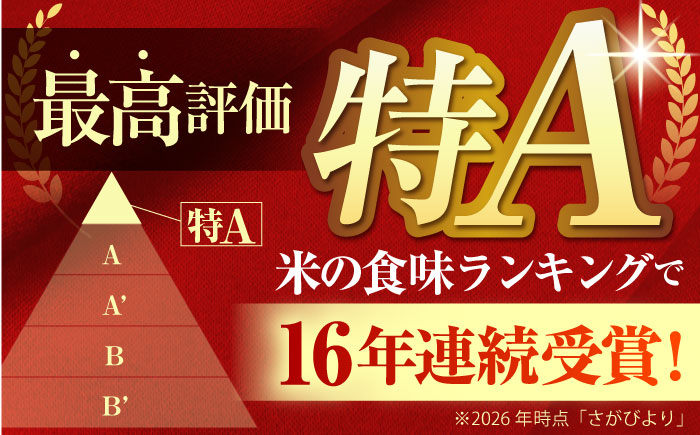 【全6回定期便】 さがびより 白米 3kg（3kg×1袋）【五つ星お米マイスター厳選】特A米 特A評価 [HBL102]