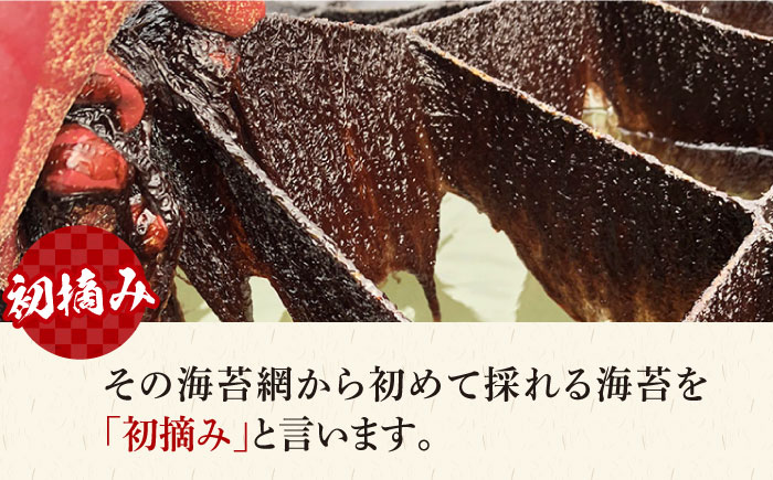 【海苔漁師だからわかる本物の味】初摘み 佐賀海苔 4袋 ( 焼き海苔・塩海苔 各2袋 ) 【江頭建築】 [HBM001]