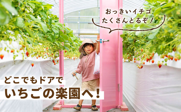 【先行予約】【五感で楽しむ】いちご狩り体験 ペアチケット【花祭いちごの谷】 [HBN002]