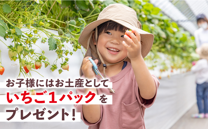 【先行予約】【五感で楽しむ】いちご狩り体験 チケット 3枚【花祭いちごの谷】 [HBN004]