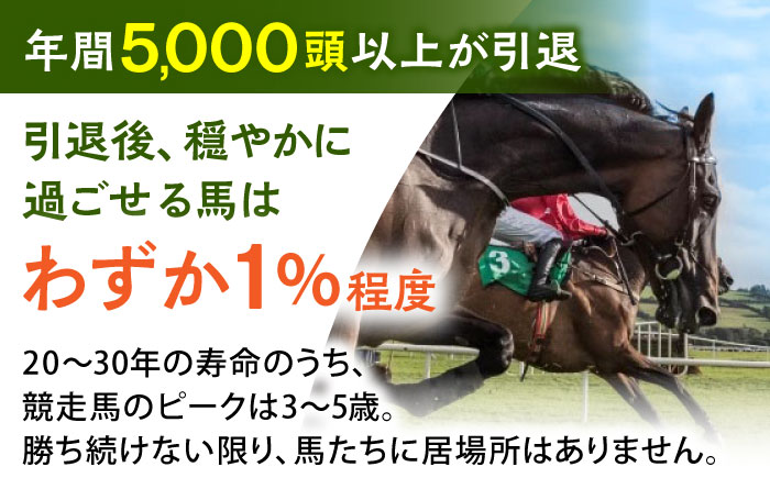 引退競走馬支援 10,000円 【CLUB RIO】 支援 動物支援 [HBY004]