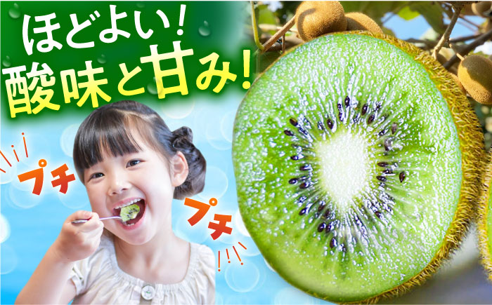 【先行予約】令和7年産 キウイフルーツ（ヘイワード）3.6kg【JAさが】 [HBZ001]