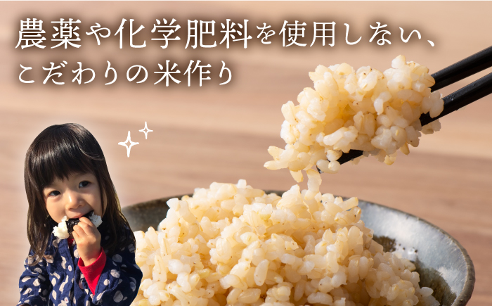 【栽培期間中農薬不使用】令和7年産 新米 こだわりの玄米 夢しずく 5kg【北原農園】佐賀 [HCA019]