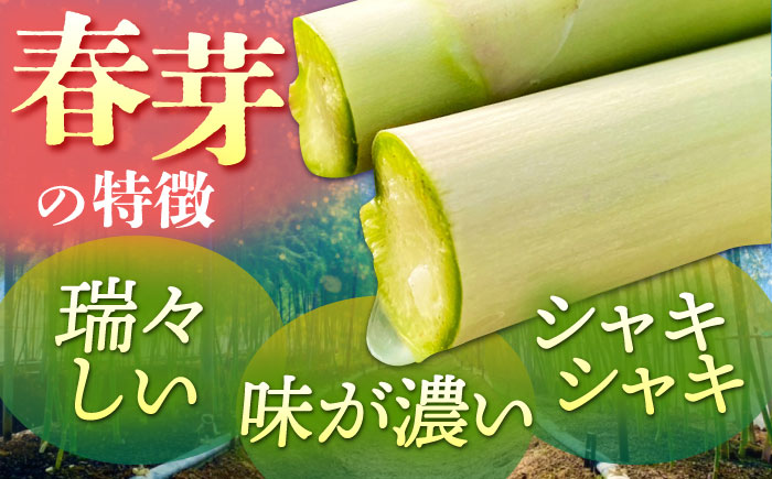 【新鮮でみずみずしい】春芽アスパラガス 700g【けいちゃん農園】 [HCC005]