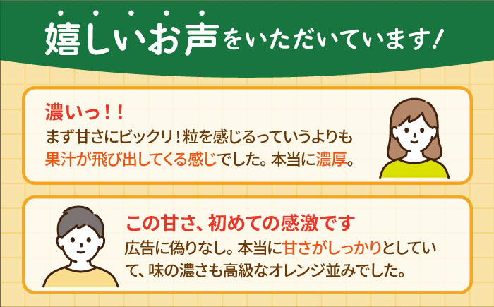 【先行予約】【2月～3月発送】幻のみかん タッチの甘熟「今村温州みかん」5kg 【夢の完熟みかん タッチ】 [HCE002]