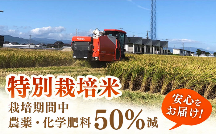 令和7年産 新米 ももちゃんちのお米 ヒヨクモチ 精米 5kg 【ももさき農産】 [HCG008]