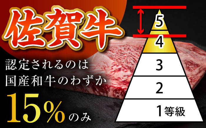 佐賀牛 日常使いセット ＜ハンバーグ150g×6個・切り落とし500g＞【がばいフーズ】A5 A4 佐賀牛 切り落とし 牛肉 [HCS072]
