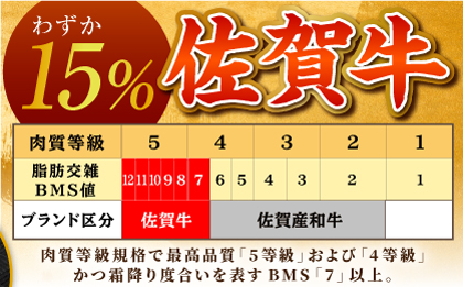 【12/10入金まで年内発送】佐賀牛 サーロインスライス 1kg 【がばいフーズ】A5ランク 佐賀牛 [HCS097]