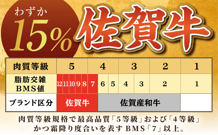 【肉の旨味を凝縮！】 佐賀牛 赤身 サイコロステーキ 500g 【がばいフーズ】A5ランク 佐賀牛 [HCS124]
