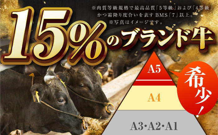 【全3回定期便】佐賀牛 焼肉セット（モモ/カタ赤身/肩ロース） 【吉祥】 [HCW009] 牛肉