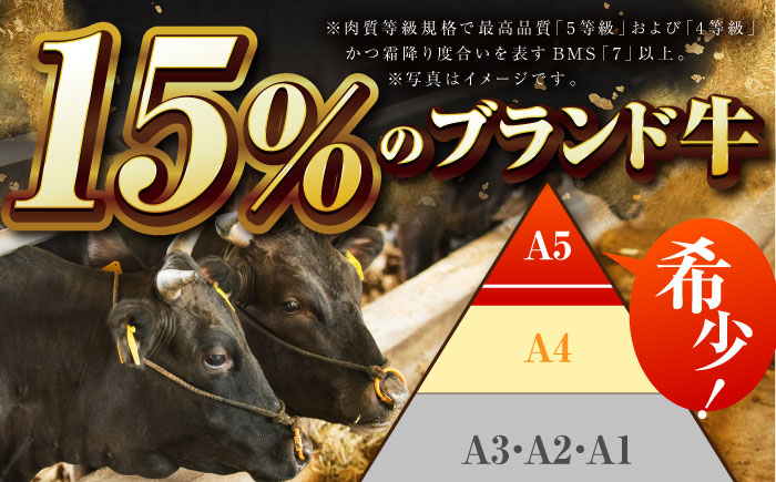 【全3回定期便】佐賀のお肉 焼肉 セット（牛肉・豚肉・鶏肉）【吉祥】 [HCW018]