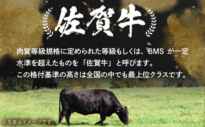 【奇数月発送】佐賀牛リッチセレクション定期便【多久精肉店】 [HCX006] 牛肉