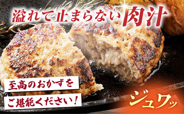 【ソースなしでも、がばいうまか～！】 佐賀牛 ハンバーグ 100g×15個　（計1.5kg） 【多久精肉店】 [HCX008]
