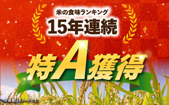 【ご飯でご飯が食べられる！】令和7年産 さがびより 白米 5kg（一等米）【一九FARM】 [HDC001]