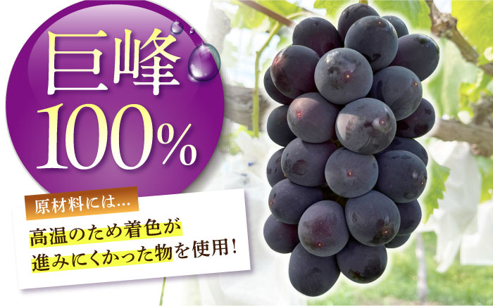 【巨峰100%使用】 ぶどうジュース （ ストレートジュース ）150ml×3本 【石井園】 [HDD004]