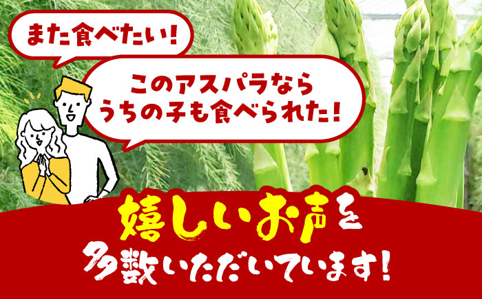 【3~8月発送】 アスパラ 700g（L～2Lサイズ）　【えぐちファーム】 [HDE001]