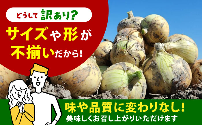 【今が旬!】 訳あり 玉ねぎ 10kg（小玉）【えぐちファーム】 不揃い たまねぎ [HDE002]