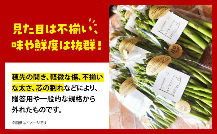【訳あり】 MOTTAINAI アスパラ 1kg 【えぐちファーム】 アスパラガス ワケアリ [HDE003]