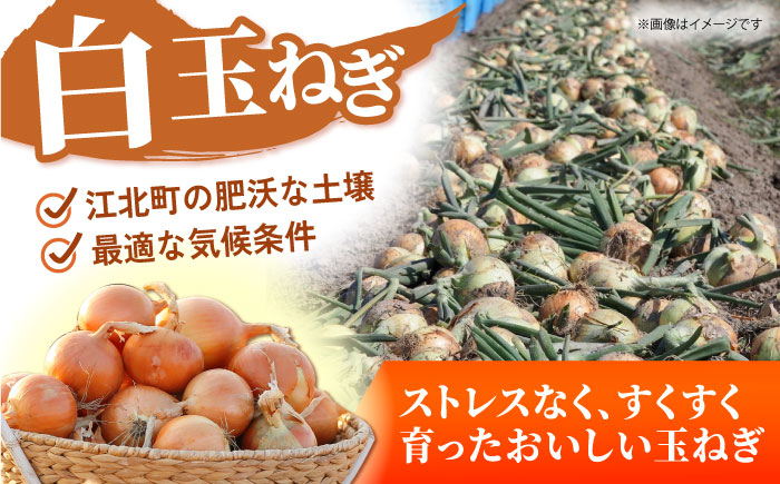 【先行予約】 玉ねぎ（白・赤）セット 計5kg 【吉祥】 [HDG002]