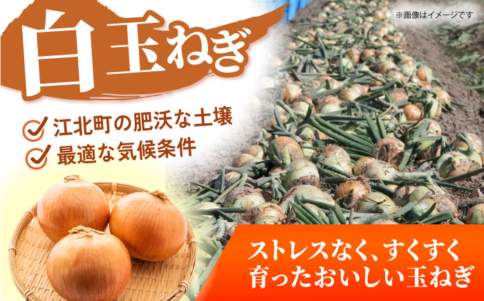 【先行予約】 玉ねぎ 5kg 【吉祥】 [HDG003]