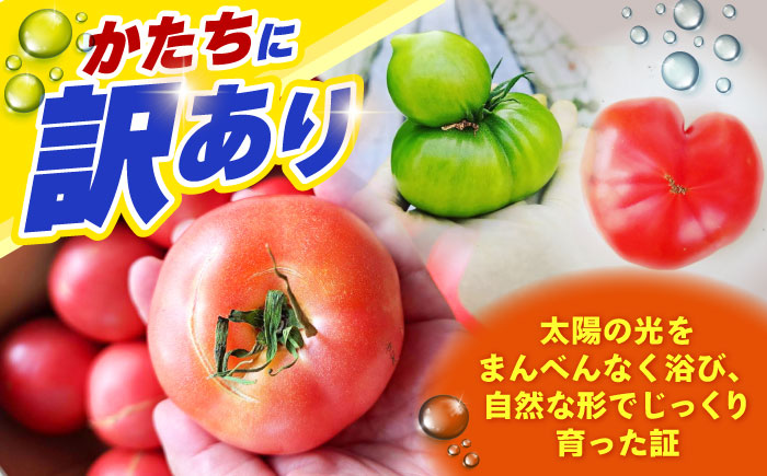 【1～4月発送】 訳あり トマト （カレン） 2kg 【にしやまファーム】 [HDI001]