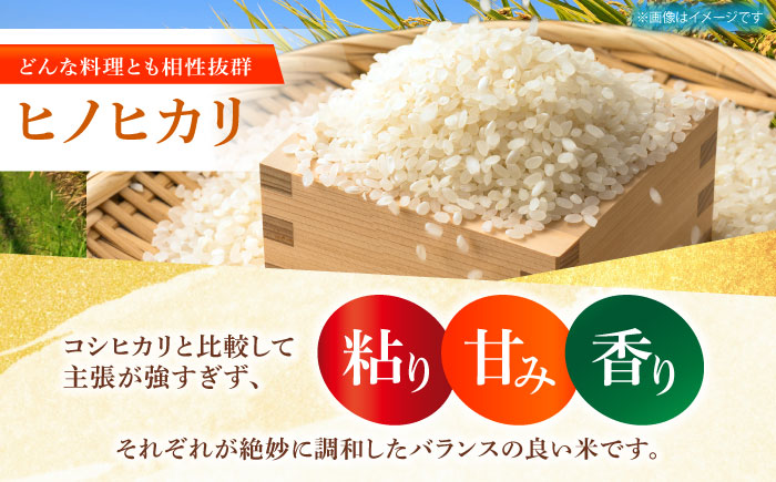 令和7年産 ヒノヒカリ 白米 10kg 【有限会社江北商会】 精米 米 おこめ [HDK001]