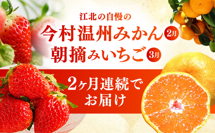 【全2回定期便】 旬のフルーツ定期便 （ みかん ・ いちご ） [HZY101]