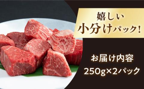 佐賀牛 A5 ヒレ サイコロステーキ 500g(250g×2パック)【山下牛舎】 [HAD036]