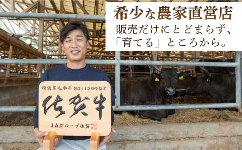 佐賀牛 A5 ヒレ サイコロステーキ 250g【山下牛舎】黒毛和牛 フィレ ヒレ肉 [HAD134]