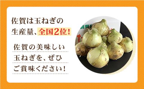 【先行予約】江北町産 たまねぎ 約6kg【百武青果】 [HAE008] 玉ねぎ