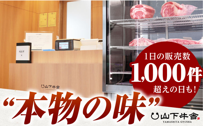 佐賀牛 切り落とし 500g （250g×2パック）【山下牛舎】 [HAD152]