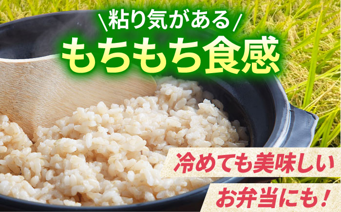 【11月発送】令和7年産 がばいうまかエガシライス（夢しずく）玄米 10kg（5kg×2袋）【江頭農園】 [HAU005] 11月発送