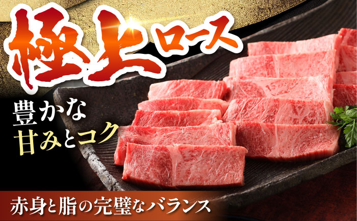 【12/20入金まで年内発送】佐賀牛 ロース 焼肉用（600g）【肉の三栄】 [HAA013]