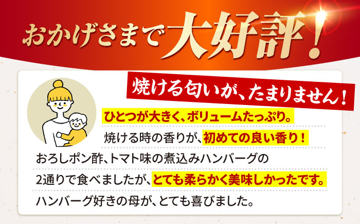 【全6回定期便】佐賀牛 ハンバーグ 定期便（10個）【肉の三栄】 [HAA036]