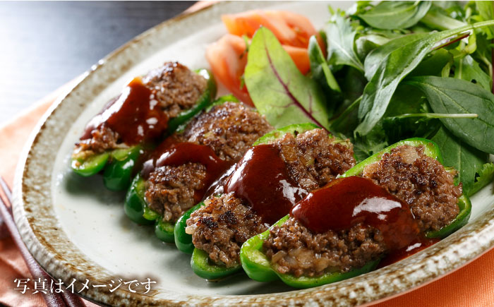 【全6回定期便】 佐賀牛 ミンチ ＆ 切り落とし【肉の三栄】 [HAA085]