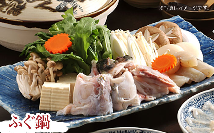 【年内発送】【泳ぐ・とらふぐ】＜白子付＞ ふぐ刺・ふぐ鍋セット [HAB003] 水産物