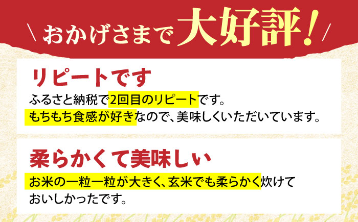 令和7年産 さがびより 玄米 10kg【ひなたむらのお米】[HAC004]