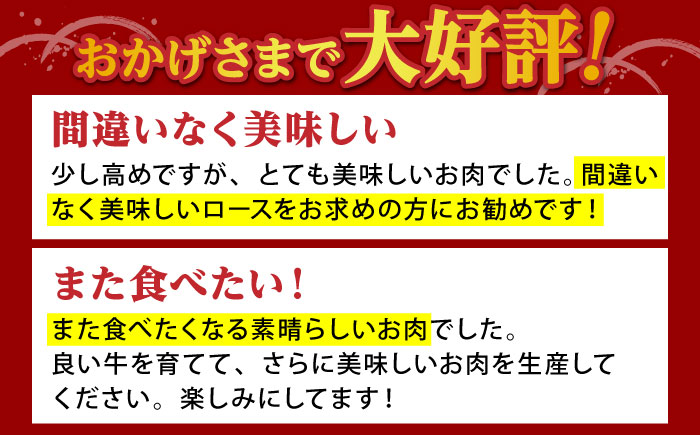 佐賀牛 A5 肩ロース スライス 500g（すき焼き用）【山下牛舎】 [HAD042]