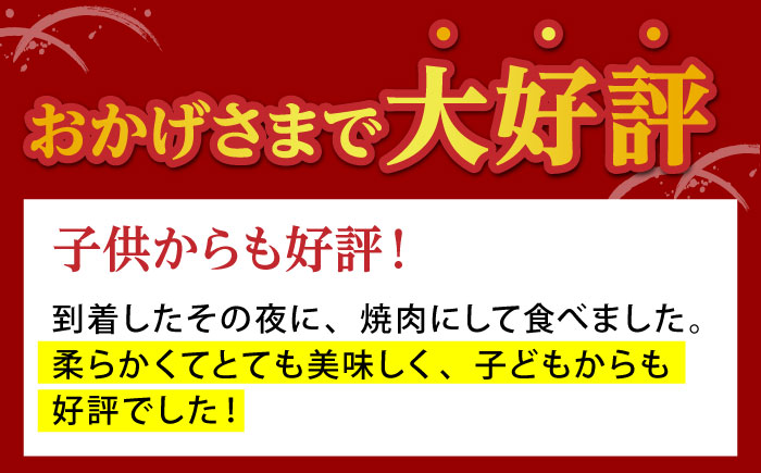 【12/10入金まで年内発送】佐賀牛 ミンチ 300g【山下牛舎】 [HAD064] 牛肉