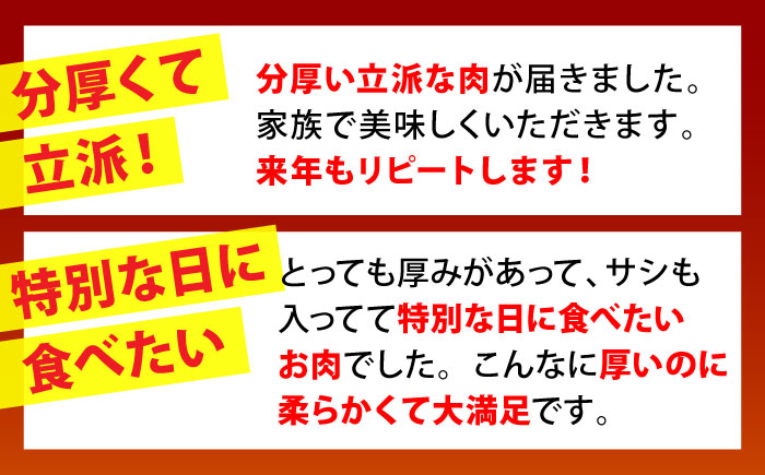 【全6回定期便】佐賀牛 シャトーブリアン 400g（200g×2枚）【山下牛舎】 [HAD070]