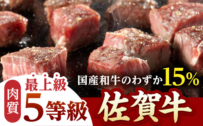 【全6回定期便】佐賀牛 ヒレ サイコロステーキ 500g(250g×2パック)【山下牛舎】 [HAD073]