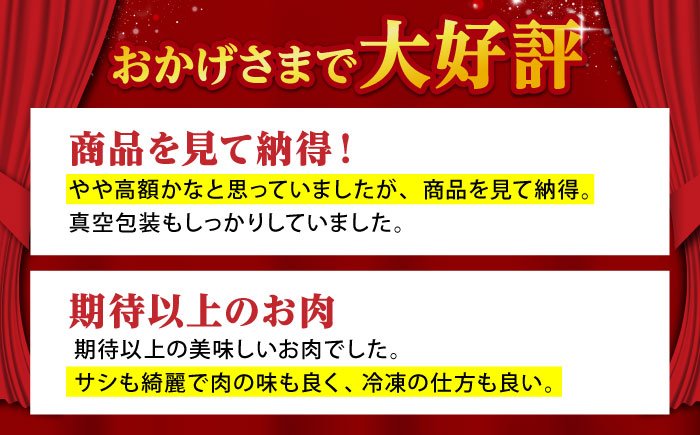 【全12回定期便】佐賀牛 リブロース スライス 500g（しゃぶしゃぶ用）【山下牛舎】 [HAD086]
