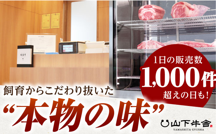 【全6回定期便】佐賀牛 赤身 スライス 500g（しゃぶしゃぶ用）【山下牛舎】 [HAD091]